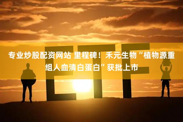 专业炒股配资网站 里程碑！禾元生物“植物源重组人血清白蛋白”获批上市