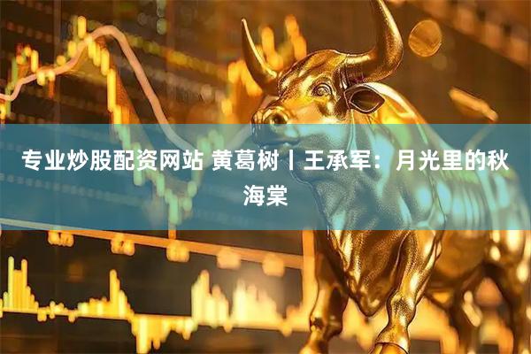 专业炒股配资网站 黄葛树丨王承军：月光里的秋海棠